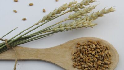 is-farro-gluten-free