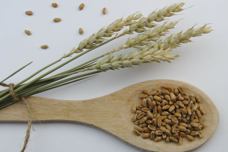 is-farro-gluten-free